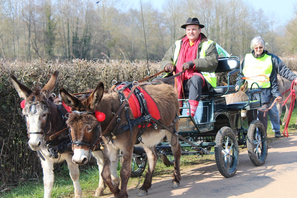 les ânes et les cyclotes (22) (Copier).JPG