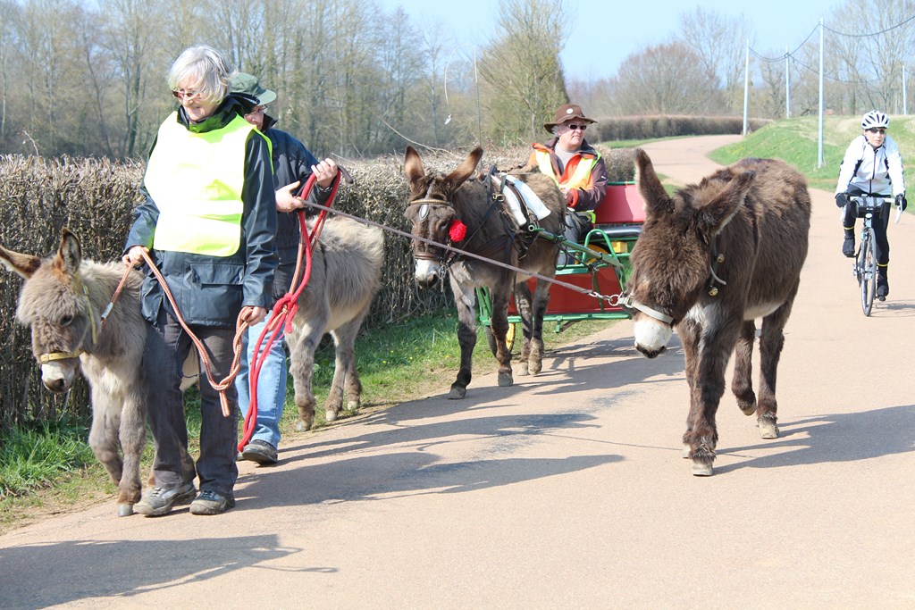 les ânes et les cyclotes (23) (Copier).JPG