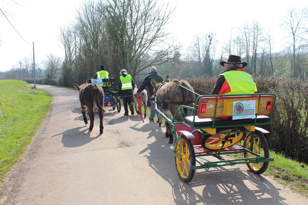 les ânes et les cyclotes (1) (Copier).JPG