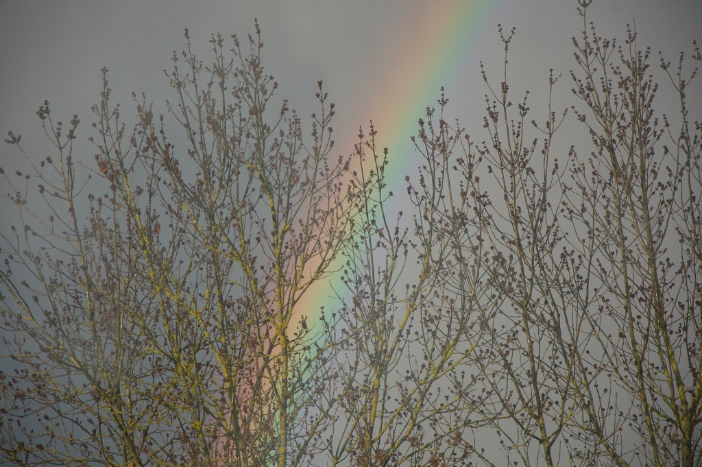 DSC_3294.JPG