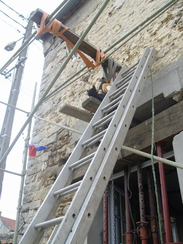 truver le chat sur la photo !.jpg