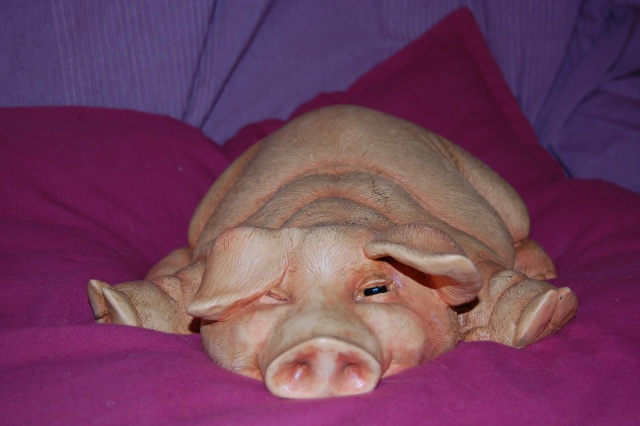 cochon10.jpg