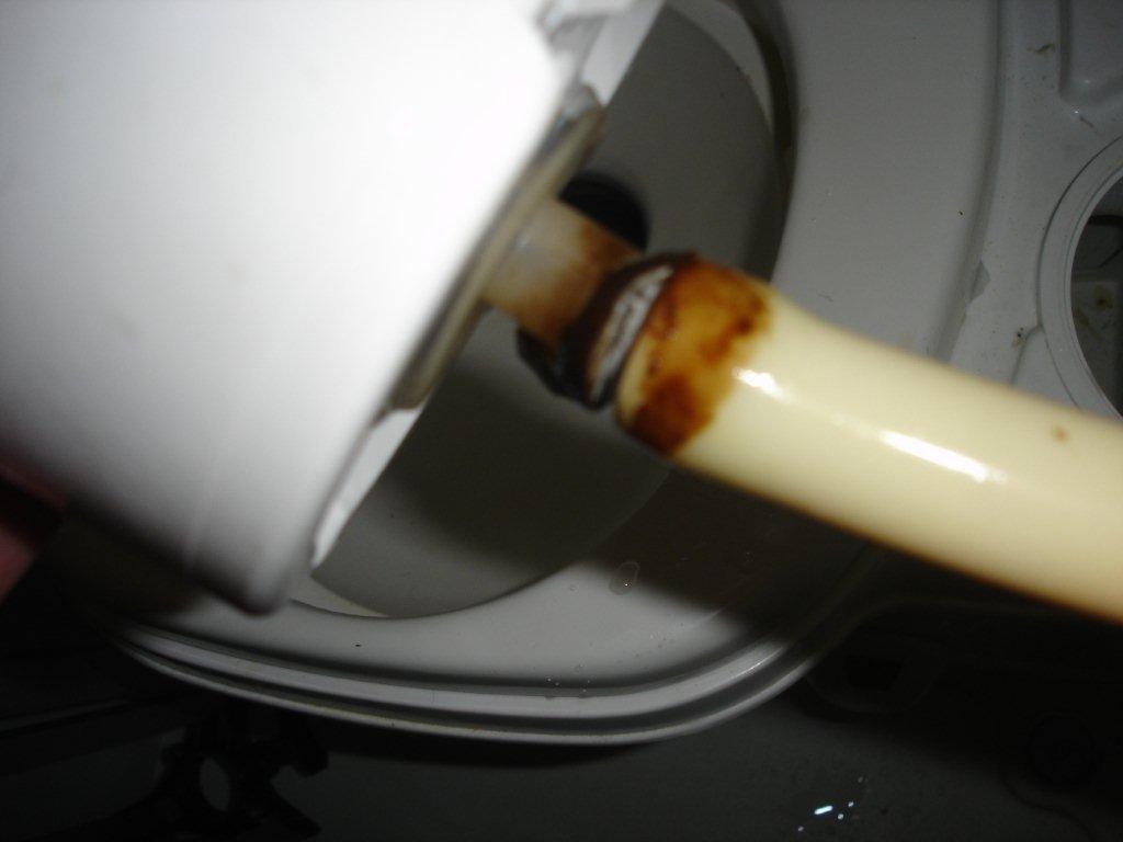 DSC08971.jpg