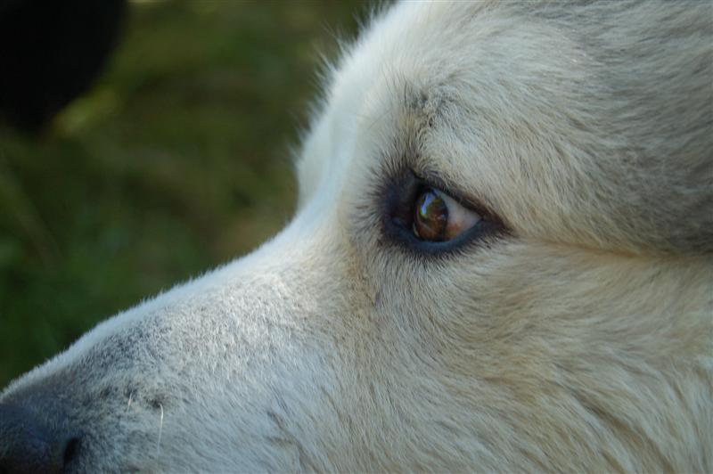 DSC_7224 (Medium).JPG