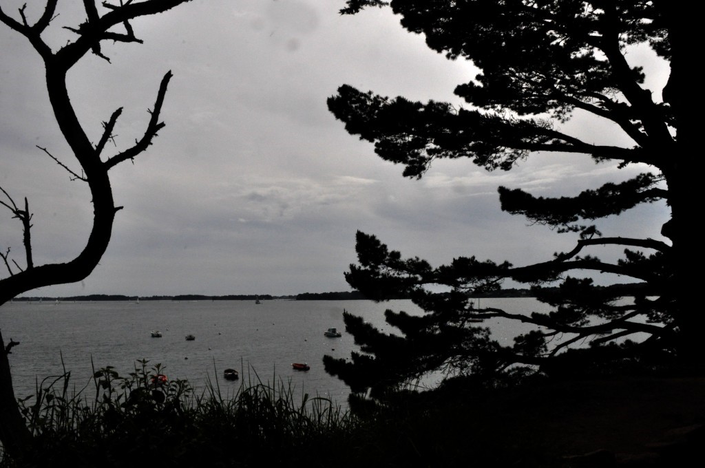 Parade_05 [1024x768].JPG