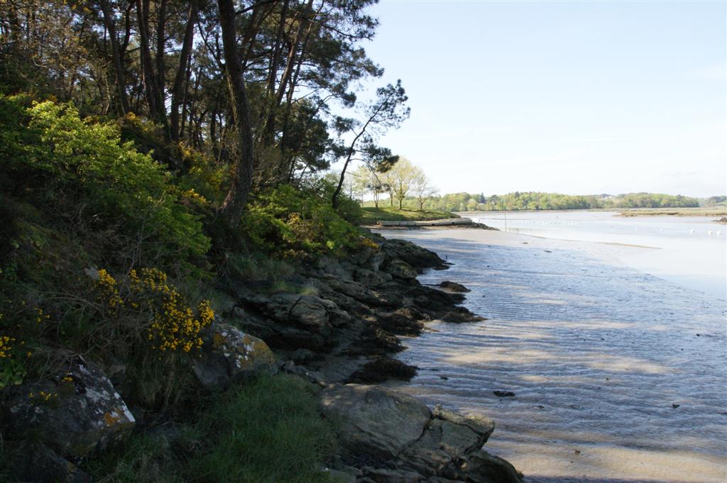 DSC03841 (Large).JPG