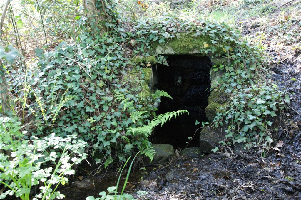 DSC03844 (Large).JPG