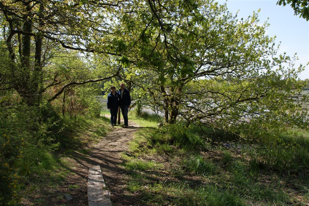 DSC03849 (Large).JPG