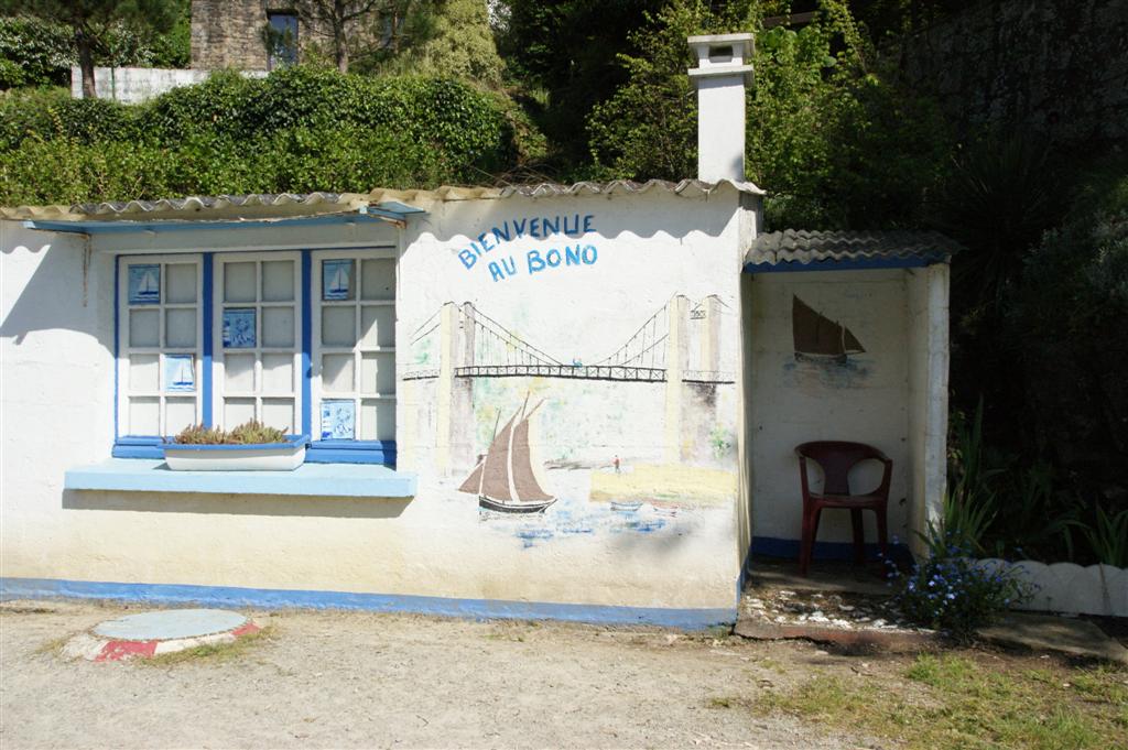 DSC03855 (Large).JPG