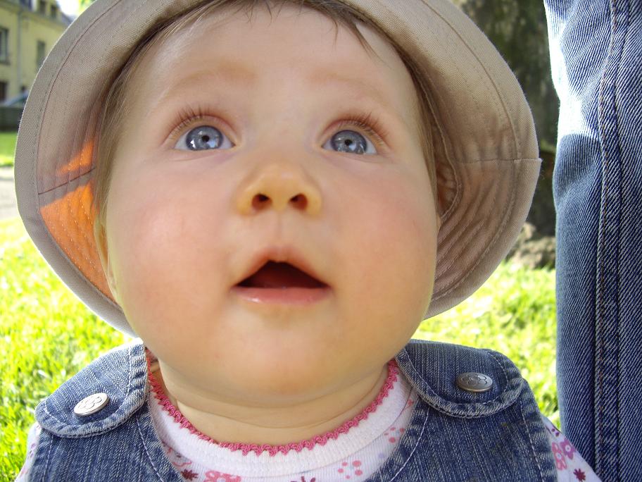 Copie de IMGP0945[1].JPG