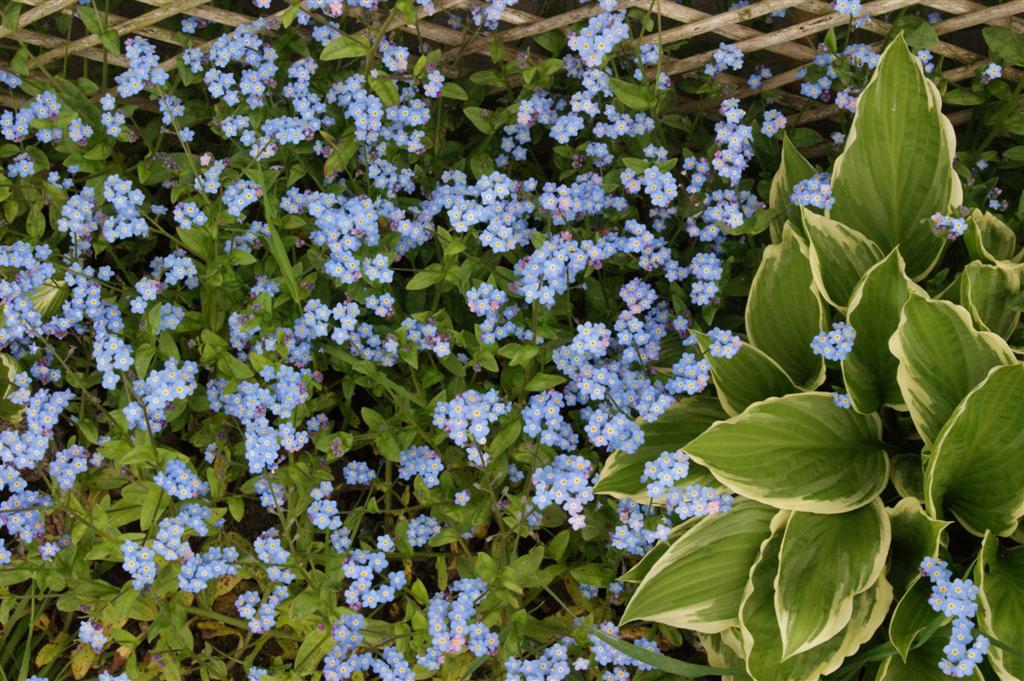 DSC03872 (Large).JPG