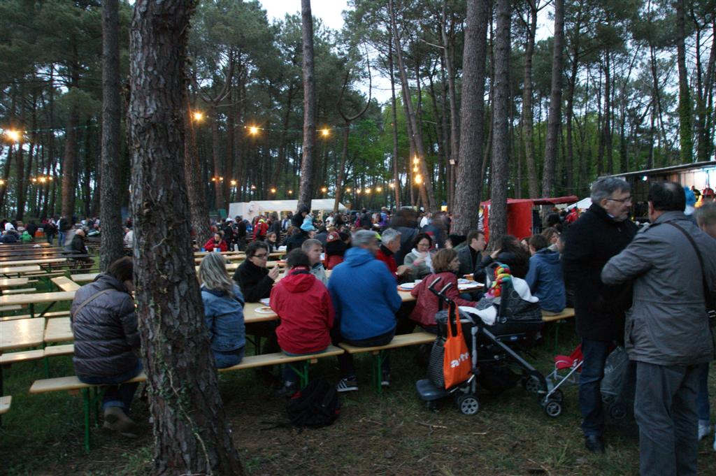 DSC03922 (Large).JPG