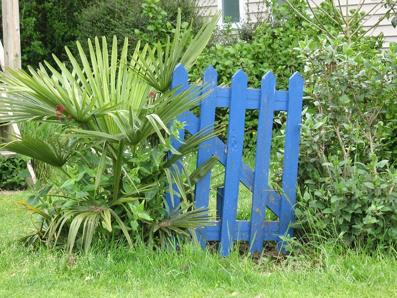 IMG_0150 (Copier).JPG