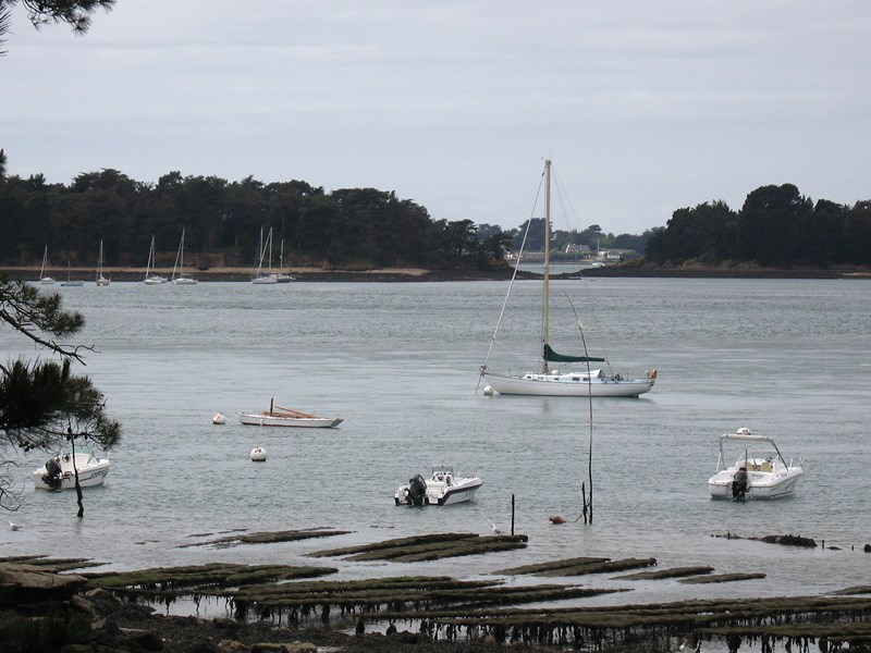 IMG_0120 (Copier).JPG