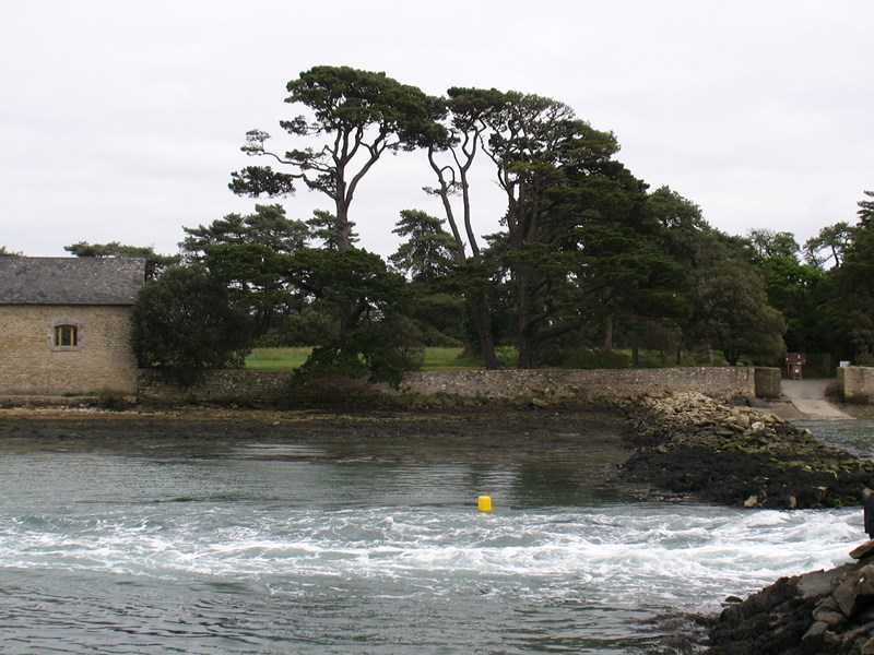 IMG_0116 (Copier).JPG