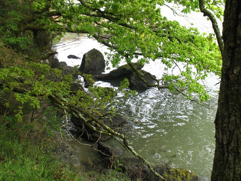 IMG_1023 (Copier).JPG