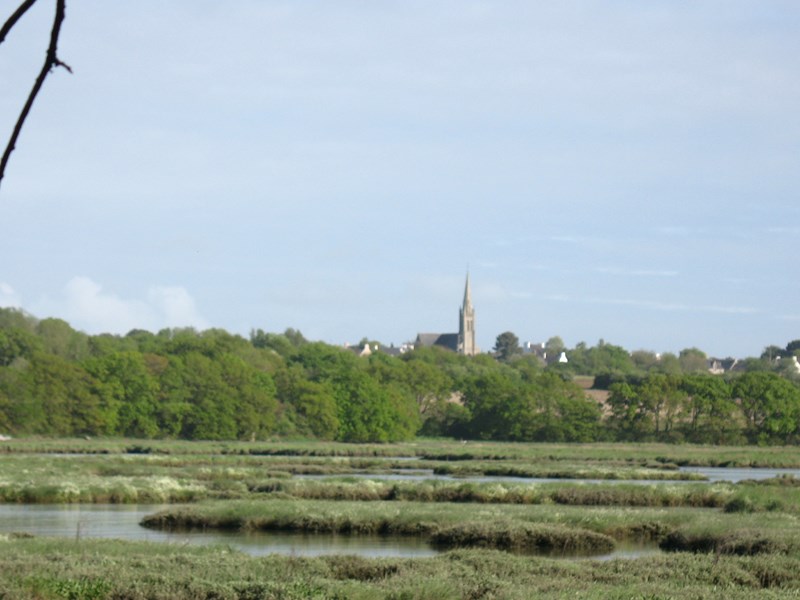 IMG_1047 (Copier).JPG