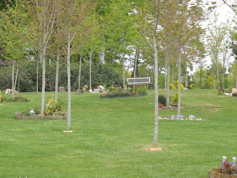 IMG_1089 (Copier).JPG