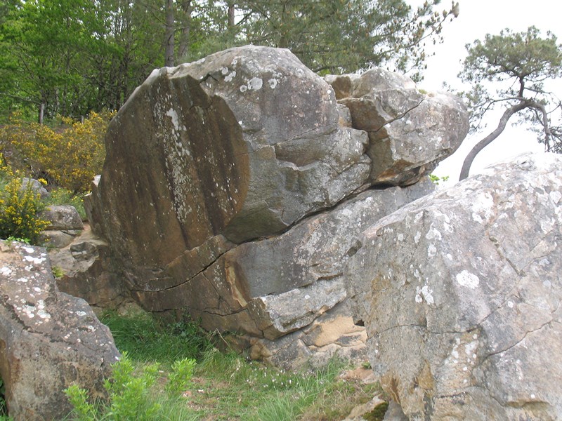 IMG_1092 (Copier).JPG