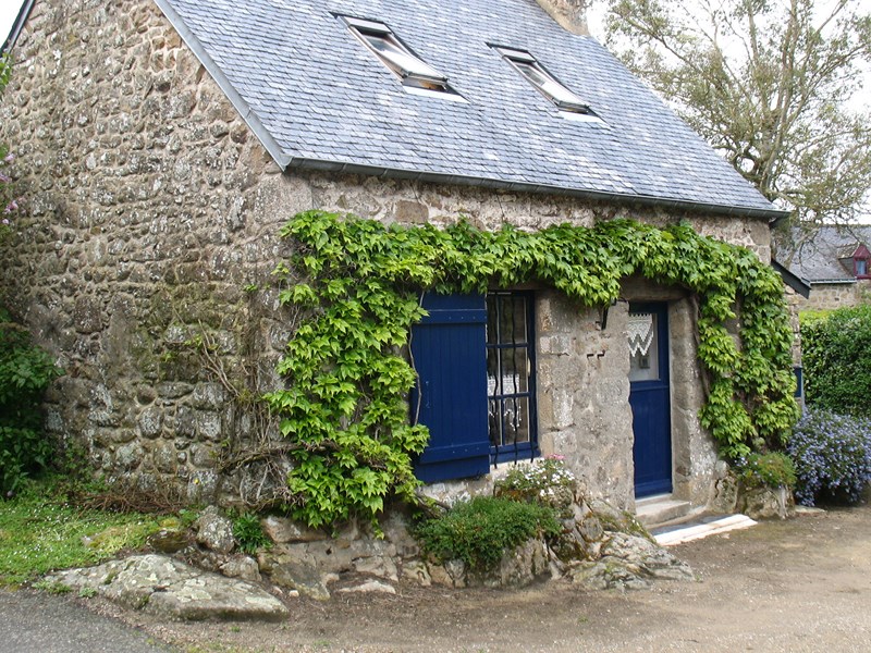 IMG_1038 (Copier).JPG