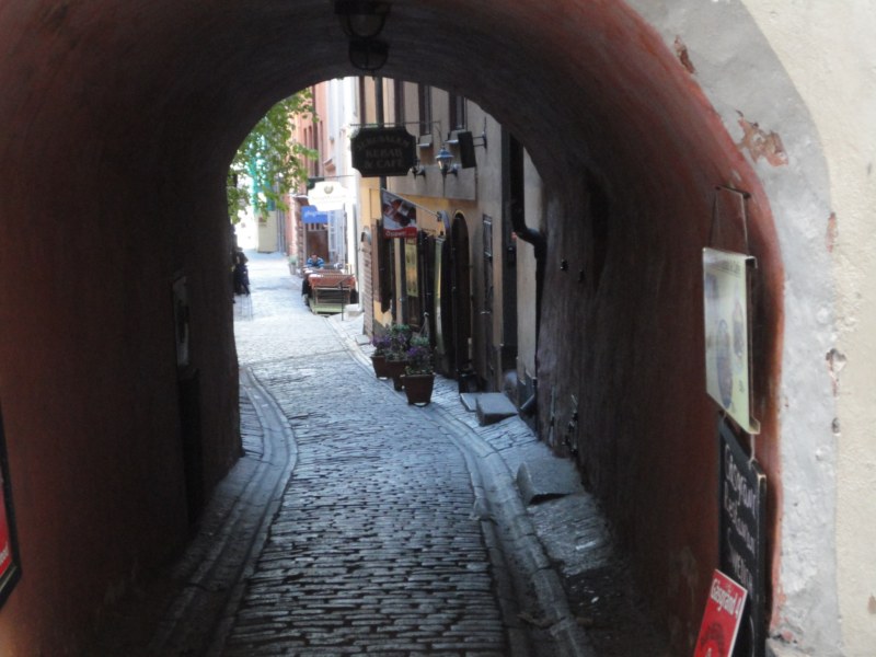 DSC04234 [800x600].jpg