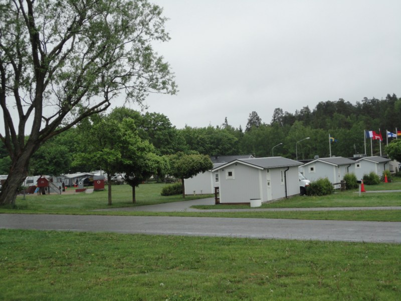 DSC04317 [800x600].jpg