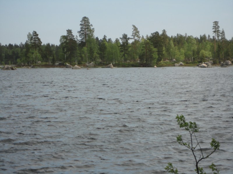 DSC04319 [800x600].jpg