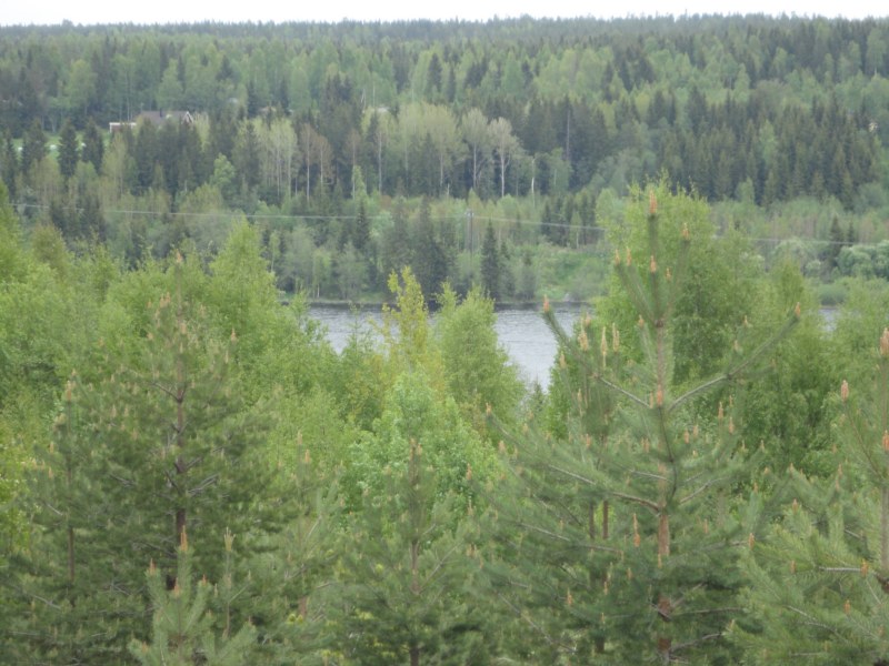 DSC04329 [800x600].jpg