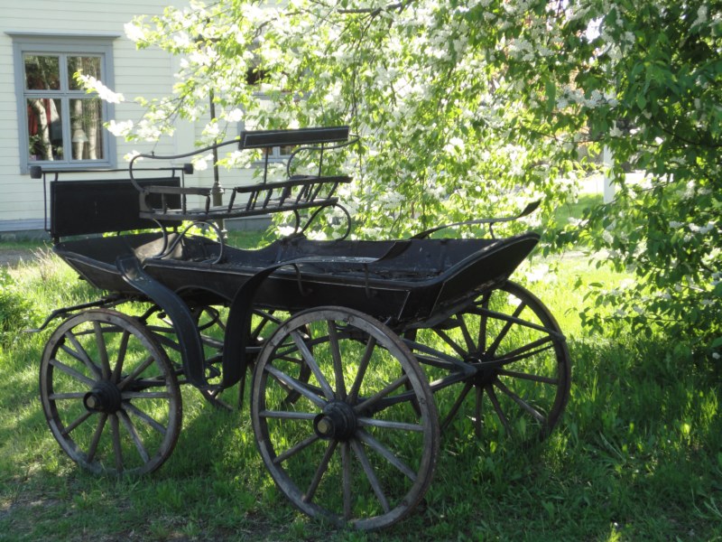 DSC04353 [800x600].jpg