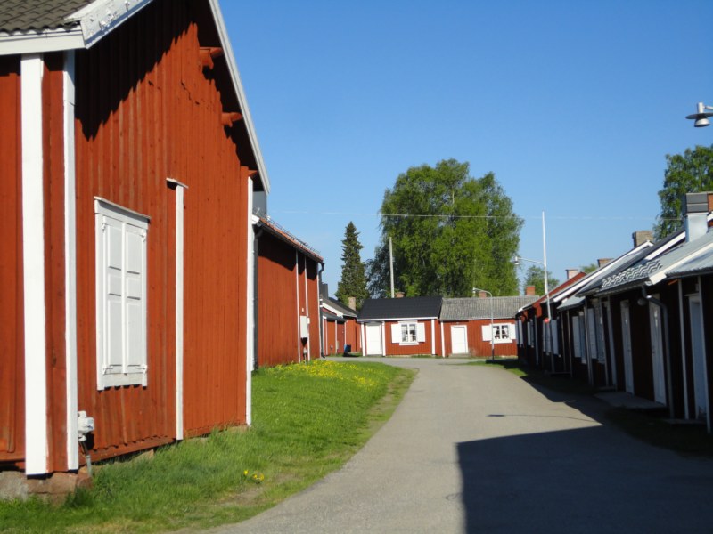 DSC04358 [800x600].jpg