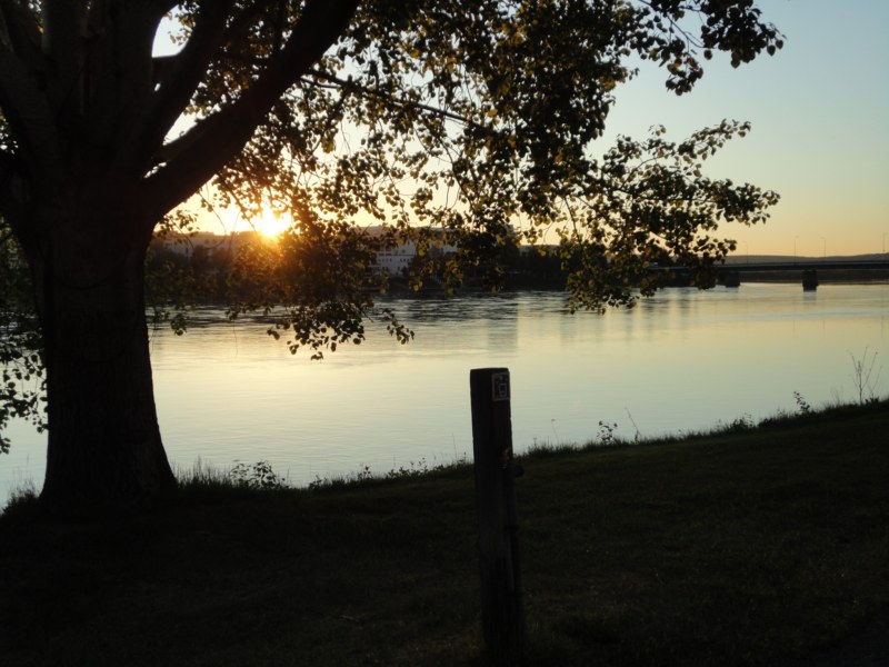 DSC04422 [800x600].jpg