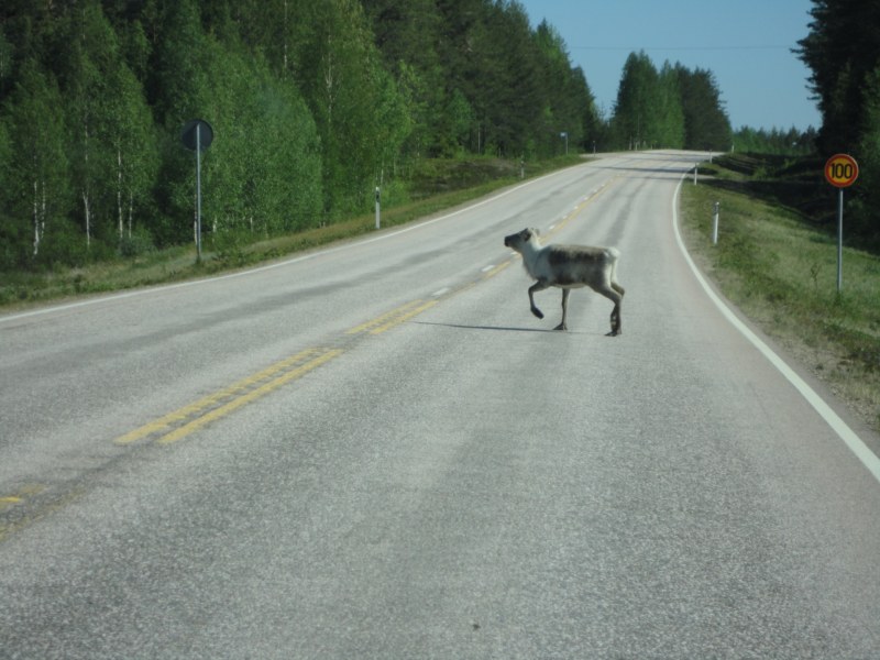 DSC04433 [800x600].jpg