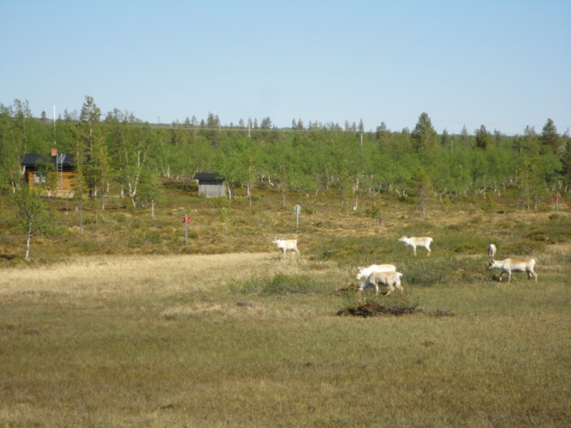 DSC04450 [800x600].jpg