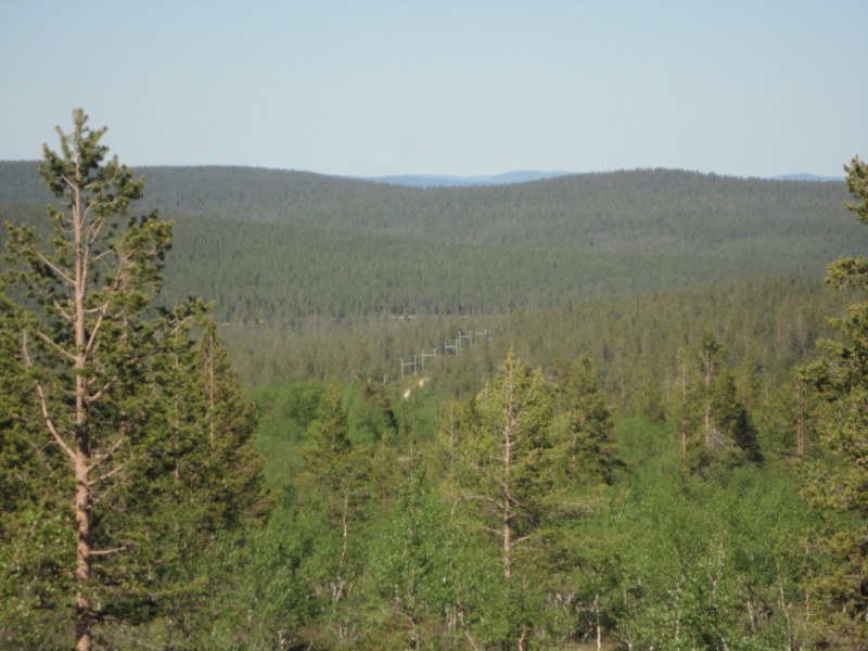 DSC04452 [800x600].jpg