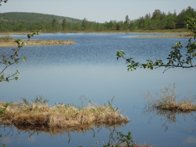 DSC04480 [800x600].jpg