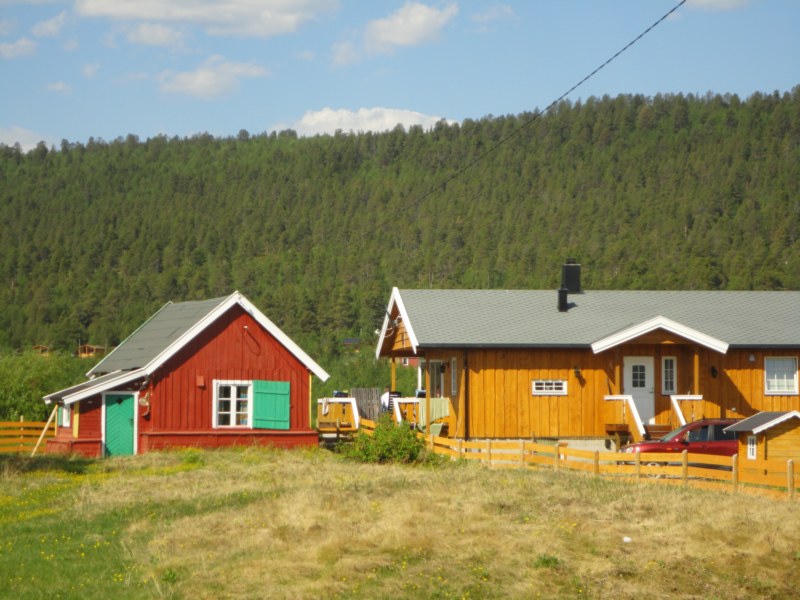 DSC04495 [800x600].jpg