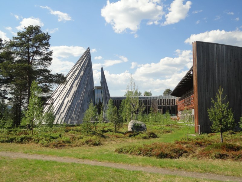 DSC04501 [800x600].jpg