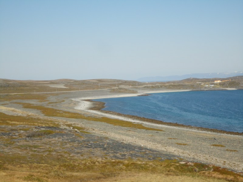 DSC04528 [800x600].jpg