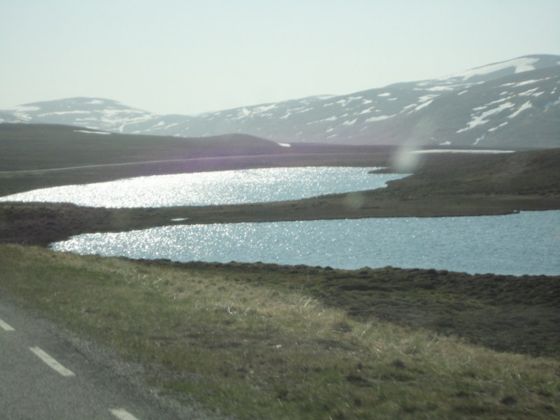 DSC04534 [800x600].jpg