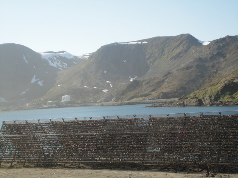 DSC04538 [800x600].jpg