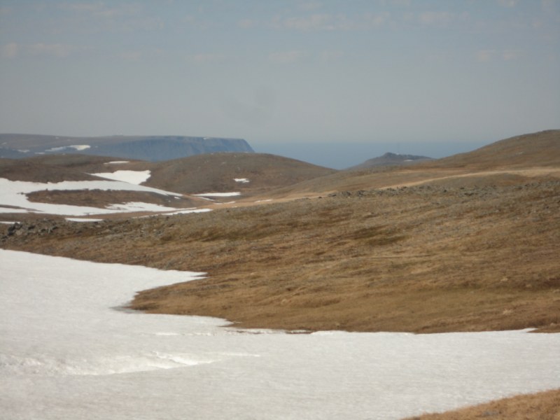 DSC04550 [800x600].jpg