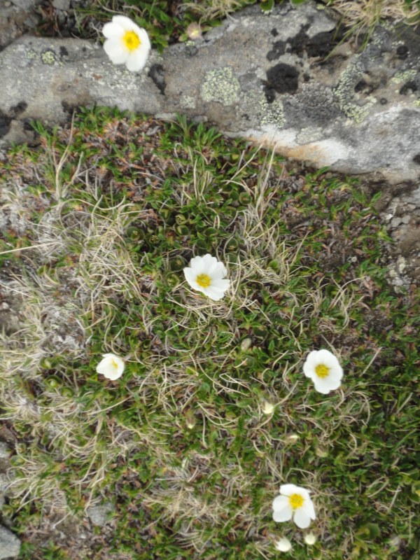 DSC04585 [800x600].jpg