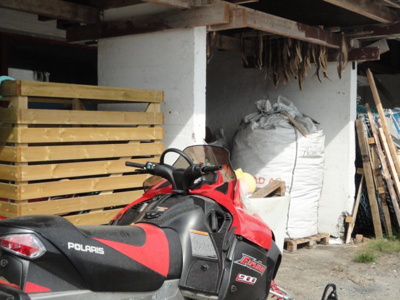 DSC04639 [800x600].jpg