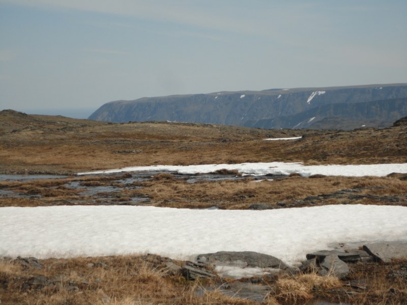 DSC04643 [800x600].jpg