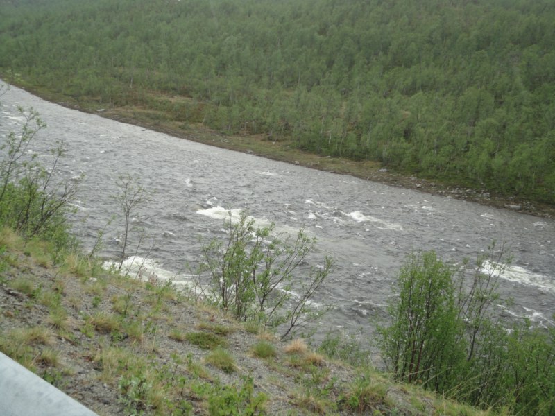 DSC04648 [800x600].jpg