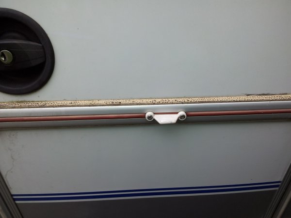 jonc cuit par le soleil