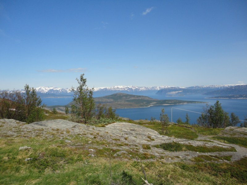 DSC04684 [800x600].jpg