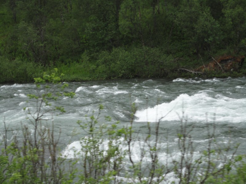 DSC04699 [800x600].jpg