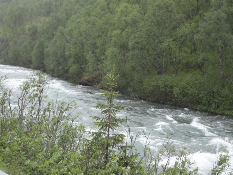 DSC04700 [800x600].jpg