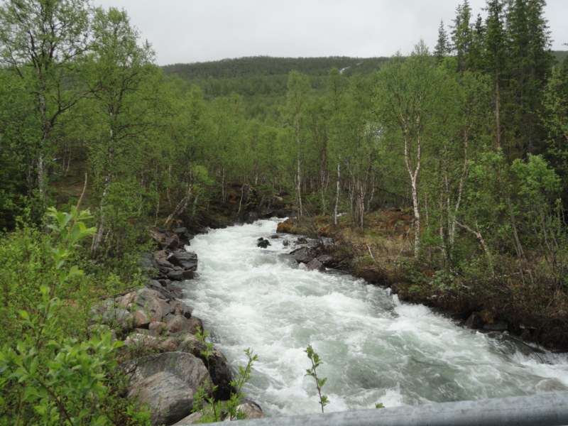 DSC04701 [800x600].jpg